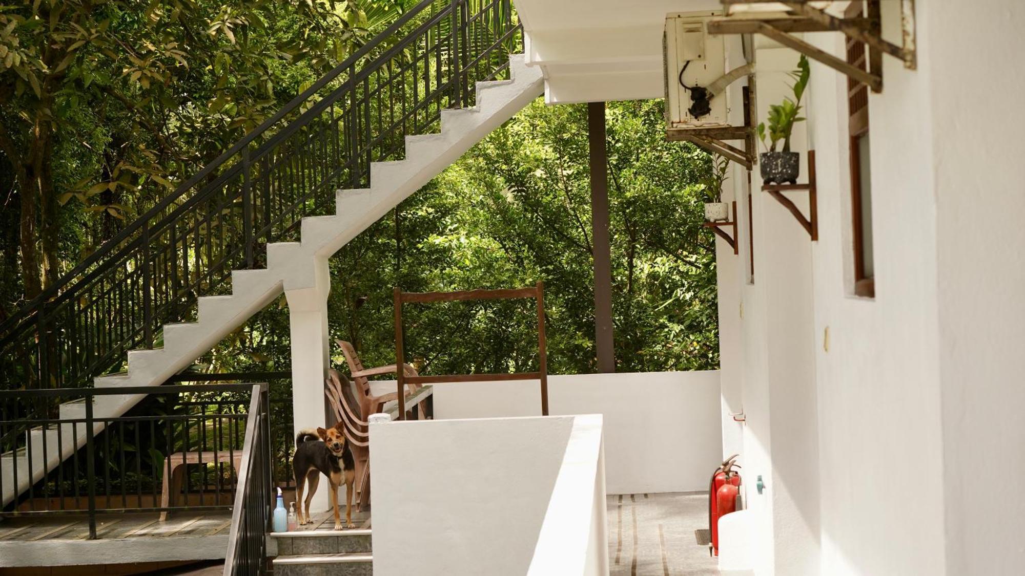 Oceanlife Surf Stay At Horizon Inn Велигама Экстерьер фото